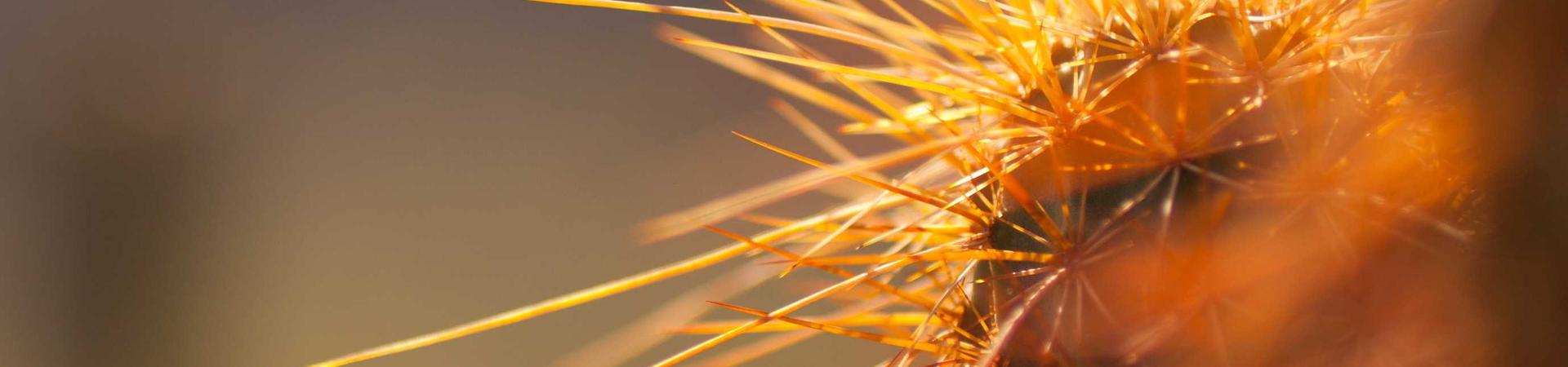 河南棣秦工程咨询有限公司 &middot; 巴彦淖尔运营中心